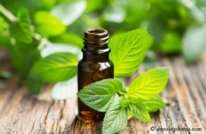 Nashua peppermint pain relieving benefits