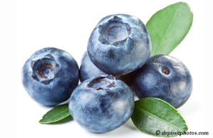 Nashua chiropractic and nutritious blueberries